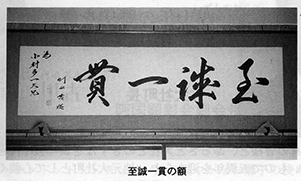 N瑗ꂽz̎ʐ^